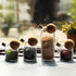 Glass Transparent Cork Storage Tank Sealed Tank